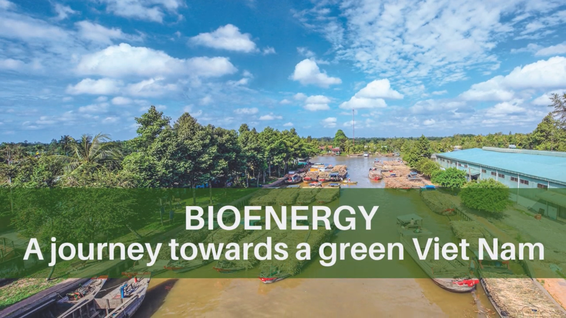 Bioenergy – A journey towards green Viet Nam